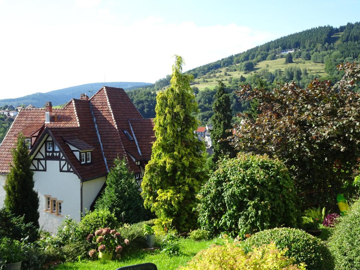 Ferienwohnung Panorama Rauenstein Eksteriør billede