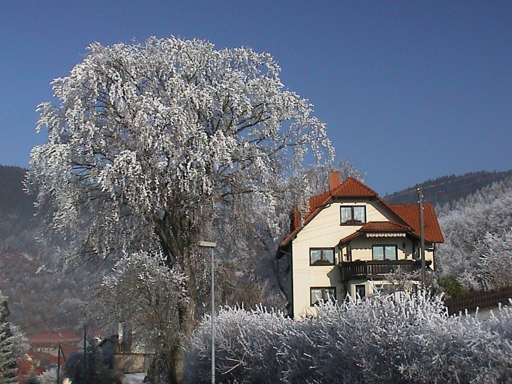 Ferienwohnung Panorama Rauenstein Eksteriør billede