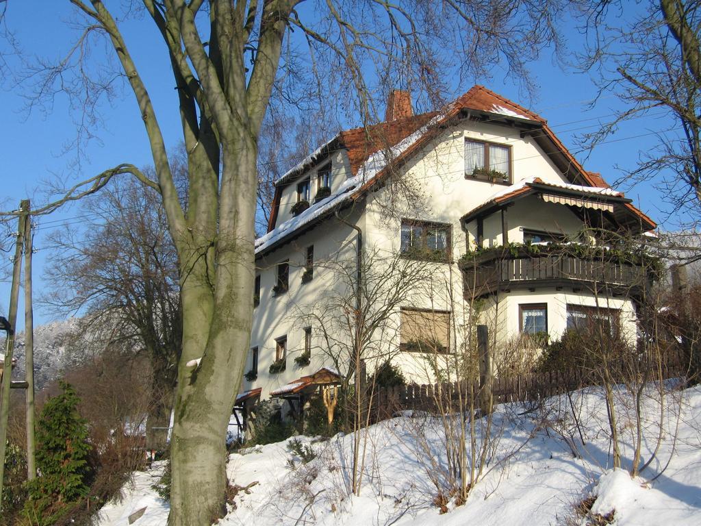 Ferienwohnung Panorama Rauenstein Eksteriør billede