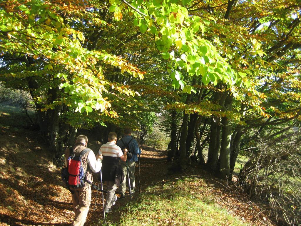 Ferienwohnung Panorama Rauenstein Eksteriør billede