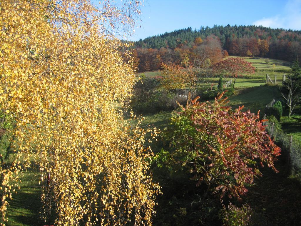 Ferienwohnung Panorama Rauenstein Eksteriør billede