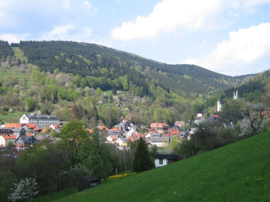 Ferienwohnung Panorama Rauenstein Eksteriør billede